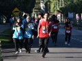 Tn dsc 6615